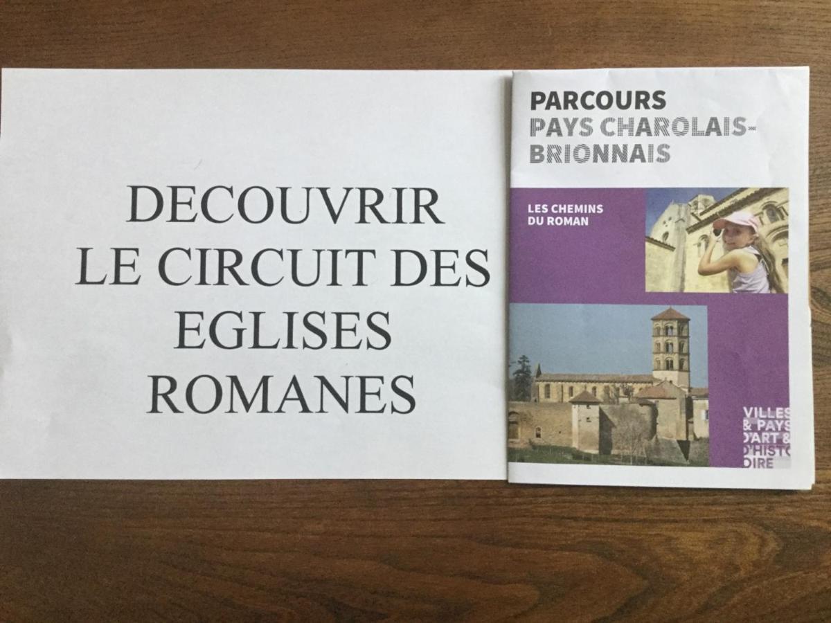 Gite De Belle Vue Semur-en-Brionnais Zewnętrze zdjęcie