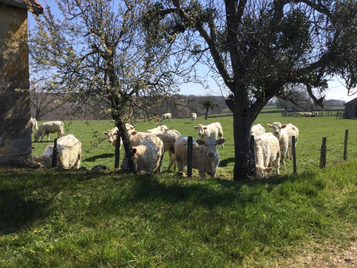 Gite De Belle Vue Semur-en-Brionnais Zewnętrze zdjęcie