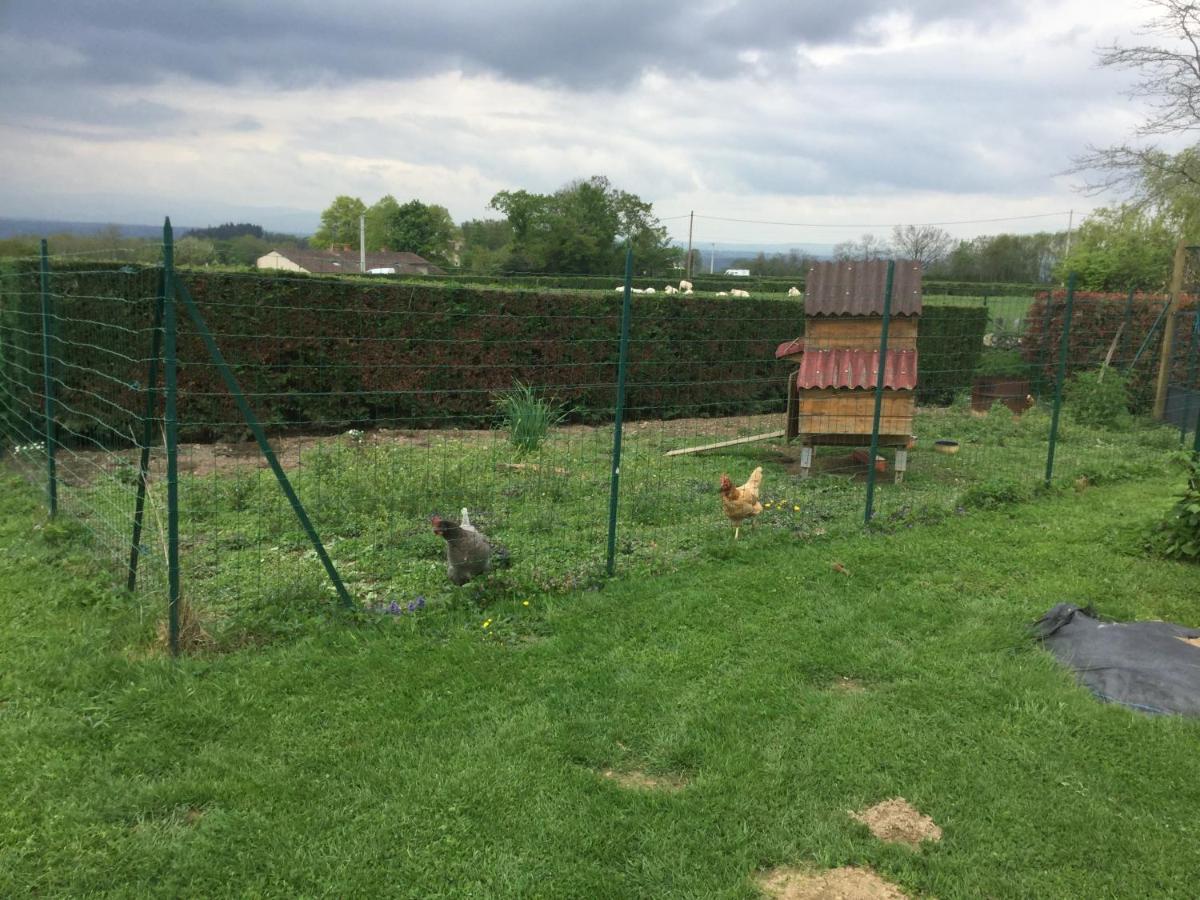 Gite De Belle Vue Semur-en-Brionnais Zewnętrze zdjęcie